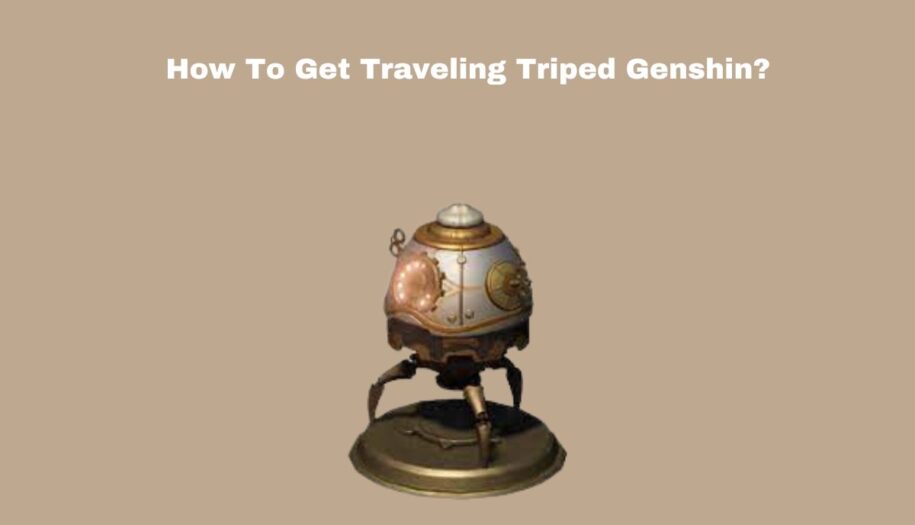 How To Get Traveling Triped Genshin?